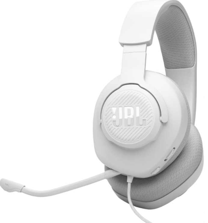 JBL QUANTUM 100